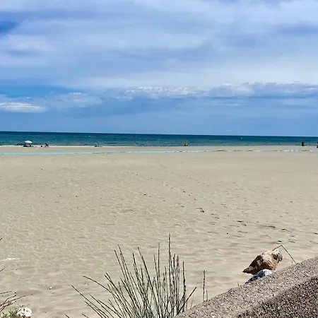 Cosy 2 Pieces Avec Wifi, Terrasse Ouest, 50m Et Commerces - Sud - Fr-1-748-21 Lejlighed Canet-en-Roussillon